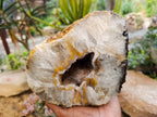 Polished Geode Specimen x 1 From Zululand, South Africa - Toprock Gemstones and Minerals 