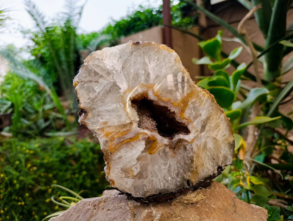 Polished Geode Specimen x 1 From Zululand, South Africa - Toprock Gemstones and Minerals 