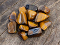 Polished Tigers Eye Tumbled Stones x 6 From South Africa - Toprock Gemstones and Minerals 