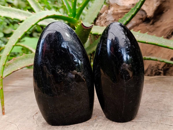Polished Black Tourmaline Standing Free Forms x 4 From Madagascar
