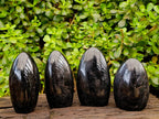 Polished Black Tourmaline Standing Free Forms x 4 From Madagascar - Toprock Gemstones and Minerals 