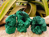 Natural Silky Malachite Specimens x 3 From Kasompe, Congo - Toprock Gemstones and Minerals 