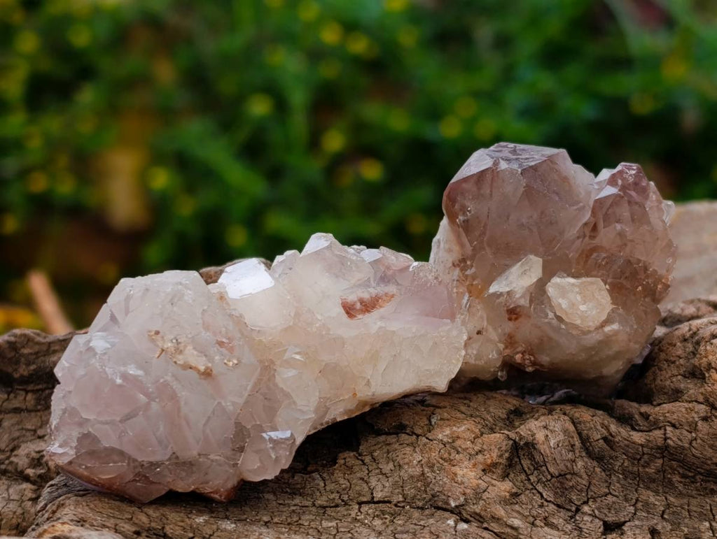 Natural Red Hematoid Quartz Crystals x 35 From Karoi, Zimbabwe - Toprock Gemstones and Minerals 