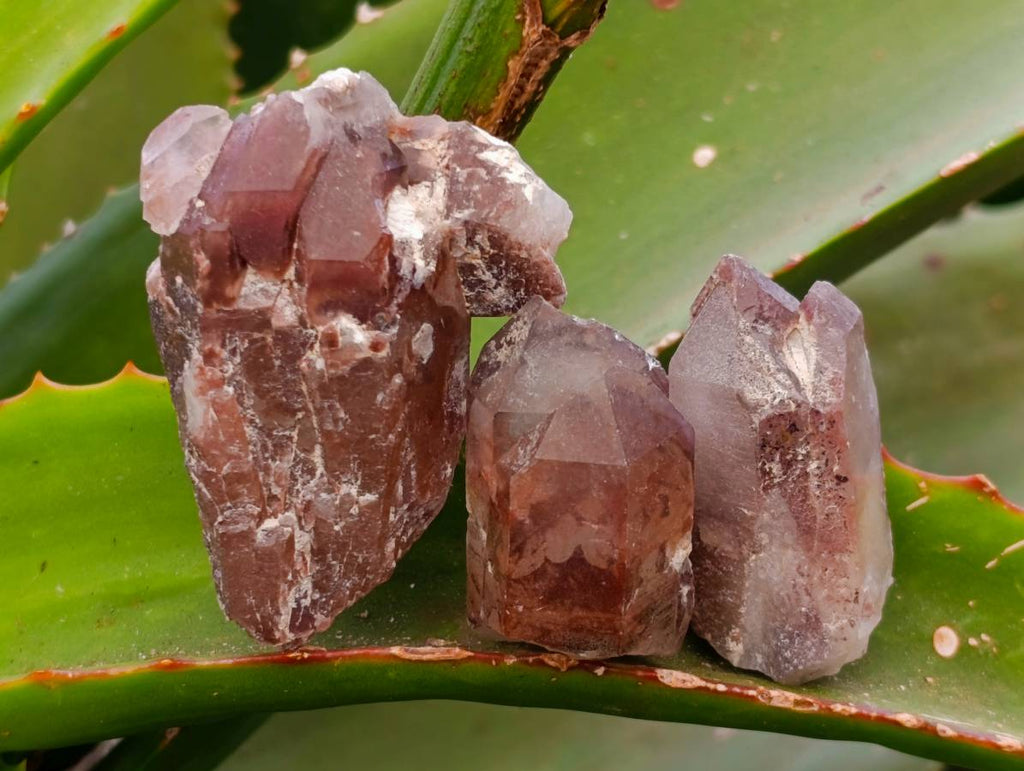 Natural Red Hematoid Quartz Crystals x 35 From Karoi, Zimbabwe - Toprock Gemstones and Minerals 