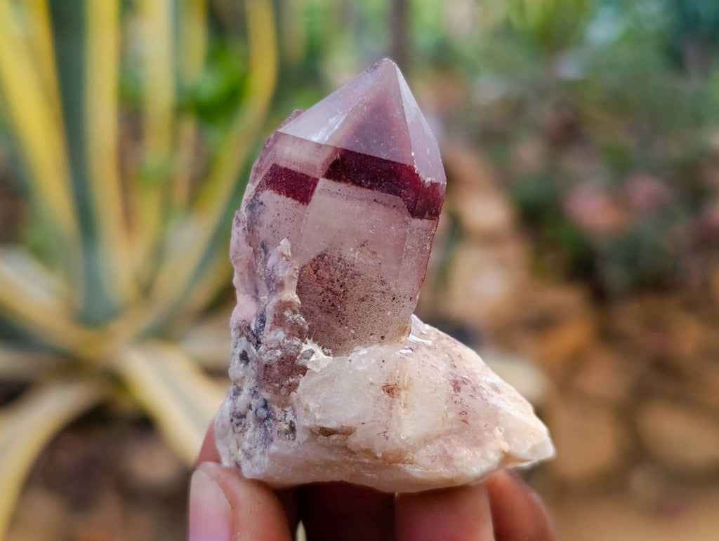 Natural Red Hematoid Quartz Crystals x 35 From Karoi, Zimbabwe - Toprock Gemstones and Minerals 