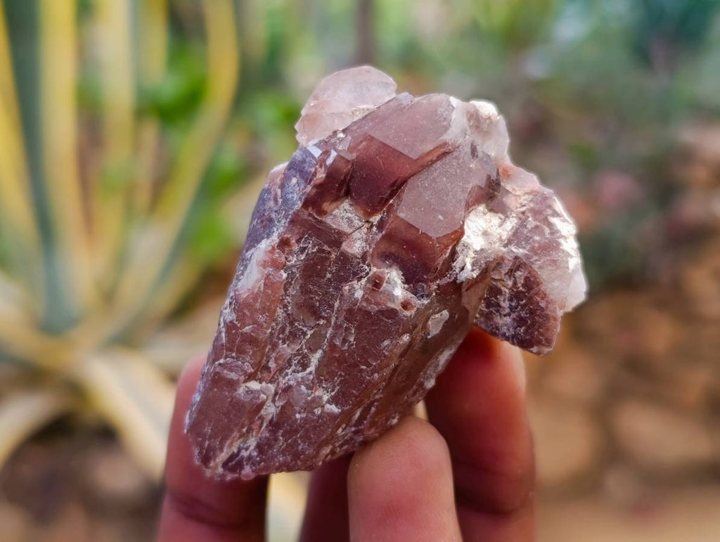 Natural Red Hematoid Quartz Crystals x 35 From Karoi, Zimbabwe - Toprock Gemstones and Minerals 