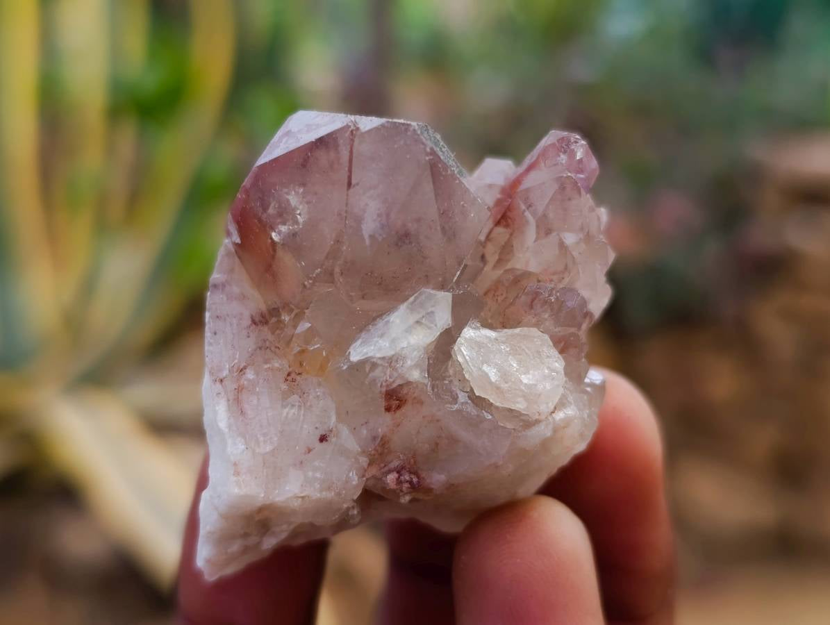 Natural Red Hematoid Quartz Crystals x 35 From Karoi, Zimbabwe - Toprock Gemstones and Minerals 