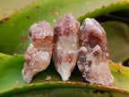 Natural Red Hematoid Quartz Crystals x 35 From Karoi, Zimbabwe - Toprock Gemstones and Minerals 