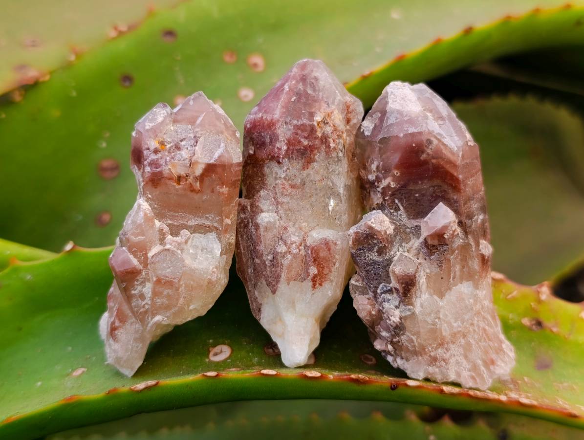 Natural Red Hematoid Quartz Crystals x 35 From Karoi, Zimbabwe - Toprock Gemstones and Minerals 
