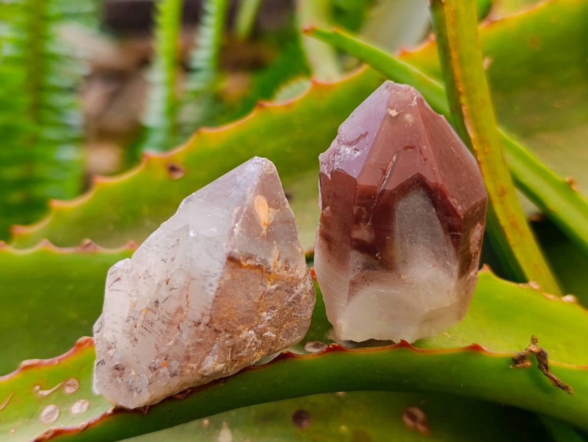 Natural Red Hematoid Quartz Crystals x 35 From Karoi, Zimbabwe - Toprock Gemstones and Minerals 