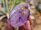 Polished Smokey Window Amethyst Quartz Crystals x 12 From Akansobe, Madagascar - Toprock Gemstones and Minerals 