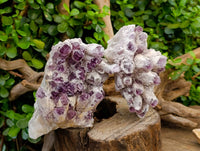 Natural Sugar Amethyst Clusters x 2 From Zambia - Toprock Gemstones and Minerals 