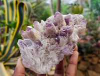 Natural Sugar Amethyst Clusters x 2 From Zambia - Toprock Gemstones and Minerals 