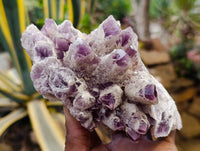 Natural Sugar Amethyst Clusters x 2 From Zambia - Toprock Gemstones and Minerals 