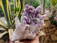 Natural Sugar Amethyst Clusters x 2 From Zambia - Toprock Gemstones and Minerals 