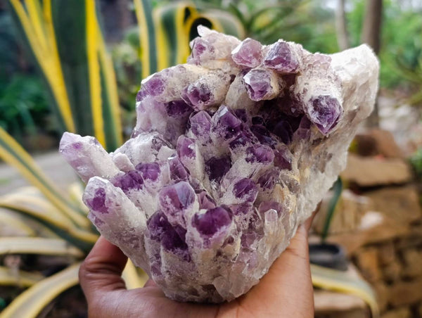 Natural Sugar Amethyst Clusters x 2 From Zambia - Toprock Gemstones and Minerals 