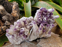 Natural Sugar Amethyst Clusters x 2 From Zambia - Toprock Gemstones and Minerals 