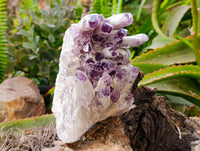 Natural Sugar Amethyst Clusters x 2 From Zambia - Toprock Gemstones and Minerals 