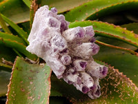 Natural Sugar Amethyst Clusters x 2 From Zambia - Toprock Gemstones and Minerals 