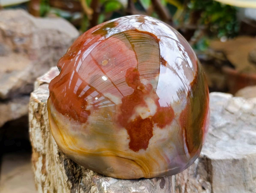Polished One Side Polychrome Jasper x 4 From NW Coast, Madagascar - Toprock Gemstones and Minerals 