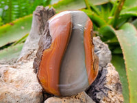 Polished One Side Polychrome Jasper x 4 From NW Coast, Madagascar - Toprock Gemstones and Minerals 