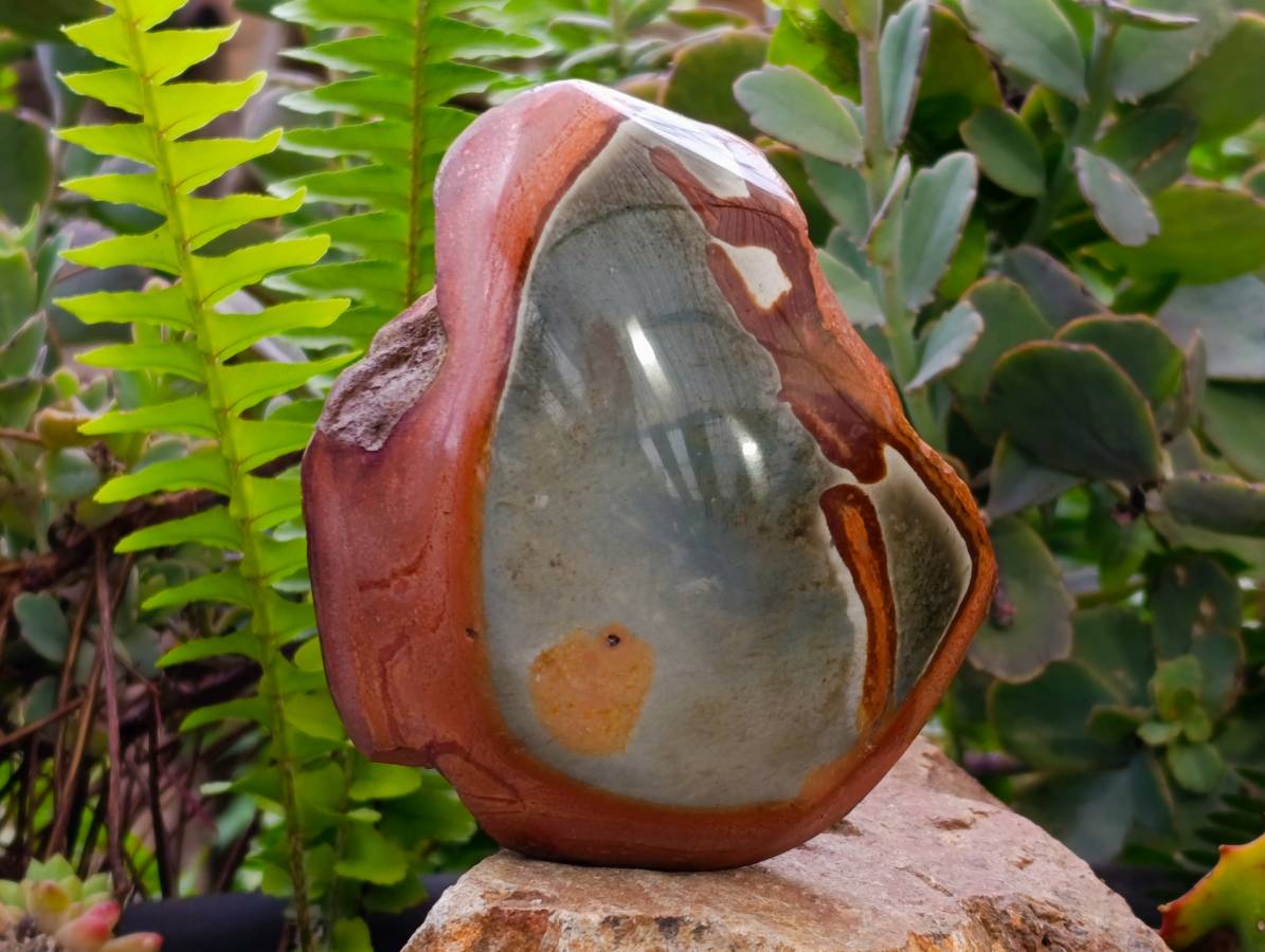 Polished One Side Polychrome Jasper x 4 From NW Coast, Madagascar - Toprock Gemstones and Minerals 