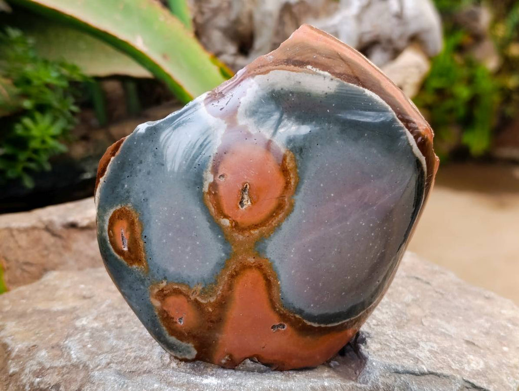 Polished One Side Polychrome Jasper x 4 From NW Coast, Madagascar - Toprock Gemstones and Minerals 