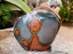 Polished One Side Polychrome Jasper x 4 From NW Coast, Madagascar - Toprock Gemstones and Minerals 