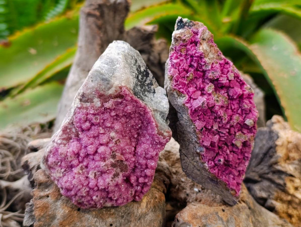 Natural Salrose Cobaltion Dolomite Specimens x 6 From Kakanda, Congo - Toprock Gemstones and Minerals 