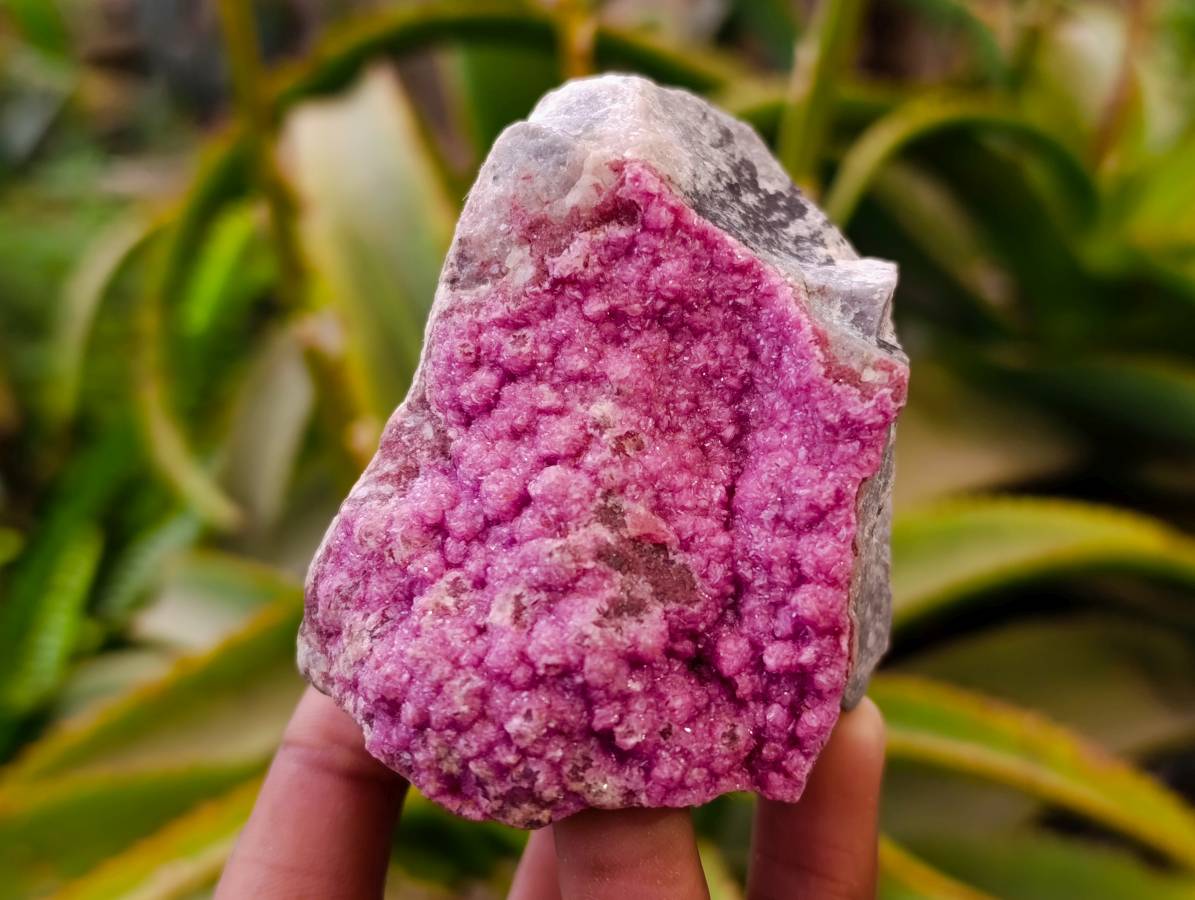 Natural Salrose Cobaltion Dolomite Specimens x 6 From Kakanda, Congo - Toprock Gemstones and Minerals 