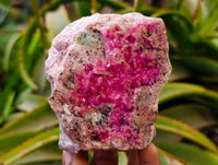 Natural Salrose Cobaltion Dolomite Specimens x 6 From Kakanda, Congo - Toprock Gemstones and Minerals 