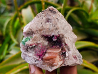 Natural Salrose Cobaltion Dolomite Specimens x 6 From Kakanda, Congo - Toprock Gemstones and Minerals 