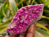 Natural Salrose Cobaltion Dolomite Specimens x 6 From Kakanda, Congo - Toprock Gemstones and Minerals 