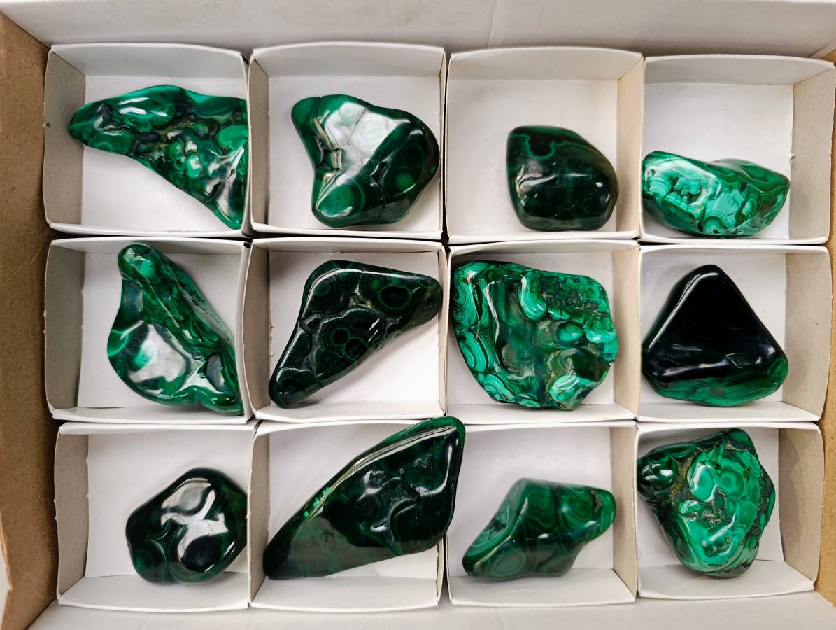 Polished Flower Banded Malachite Free Forms x 12 From Congo - Toprock Gemstones and Minerals 