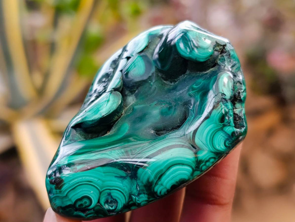 Polished Flower Banded Malachite Free Forms x 12 From Congo - Toprock Gemstones and Minerals 