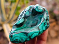 Polished Flower Banded Malachite Free Forms x 12 From Congo - Toprock Gemstones and Minerals 