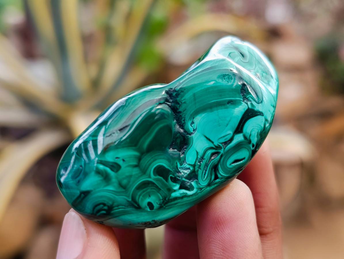 Polished Flower Banded Malachite Free Forms x 12 From Congo - Toprock Gemstones and Minerals 