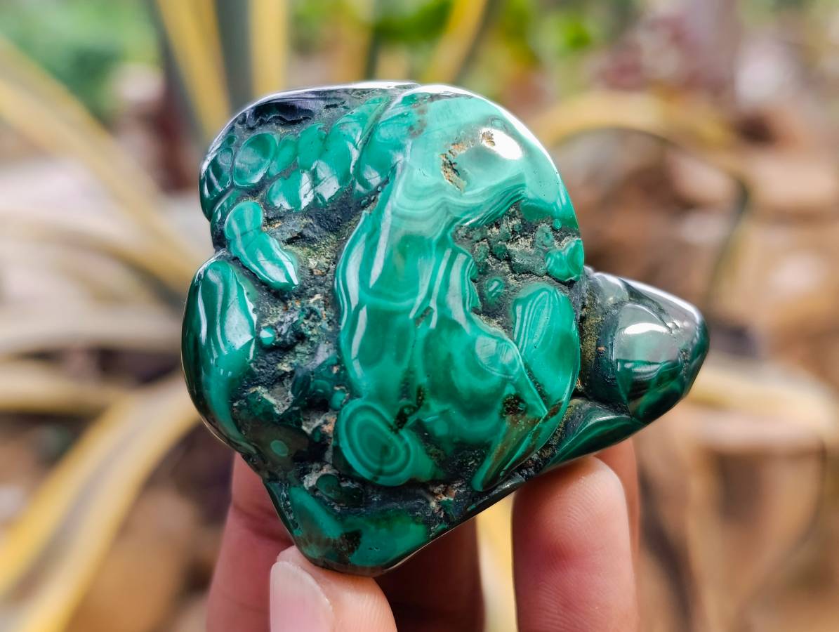 Polished Flower Banded Malachite Free Forms x 12 From Congo - Toprock Gemstones and Minerals 