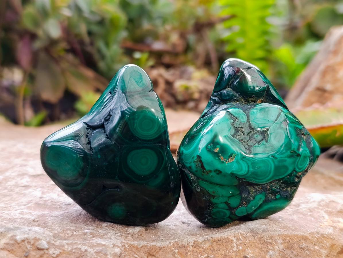 Polished Flower Banded Malachite Free Forms x 12 From Congo - Toprock Gemstones and Minerals 