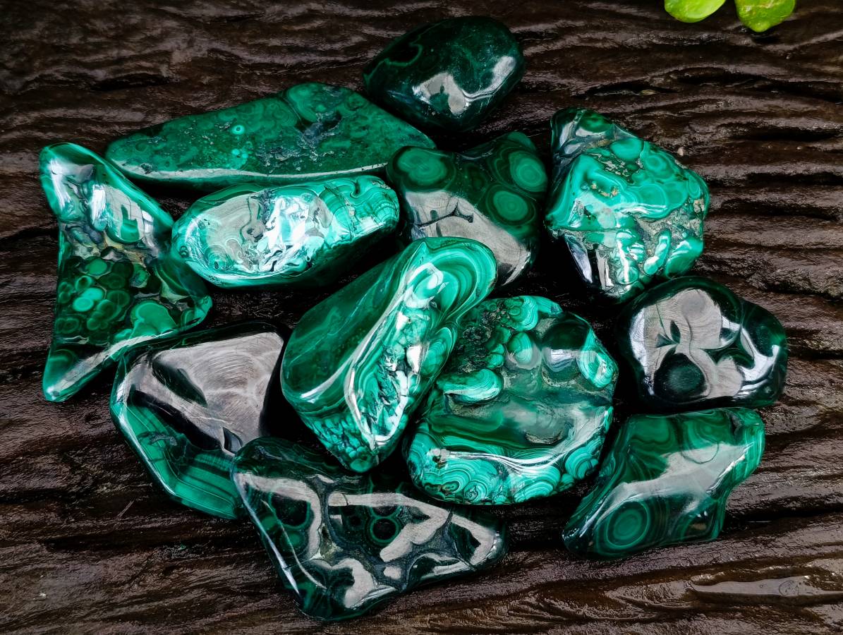 Polished Flower Banded Malachite Free Forms x 12 From Congo - Toprock Gemstones and Minerals 
