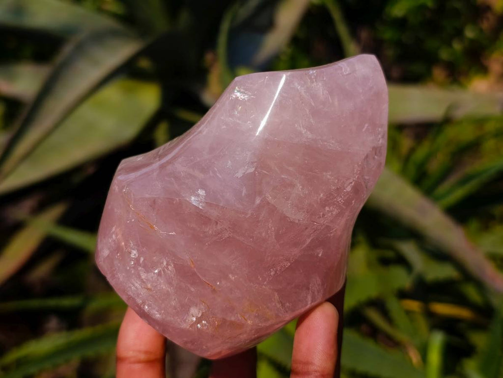 Polished Rose Quartz Flames x 3 From Madagascar - Toprock Gemstones and Minerals 