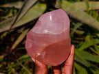 Polished Rose Quartz Flames x 3 From Madagascar - Toprock Gemstones and Minerals 