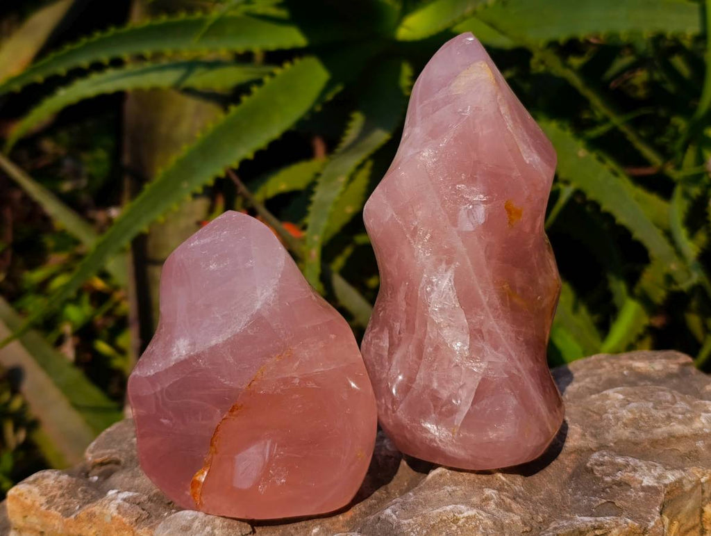 Polished Rose Quartz Flames x 3 From Madagascar - Toprock Gemstones and Minerals 