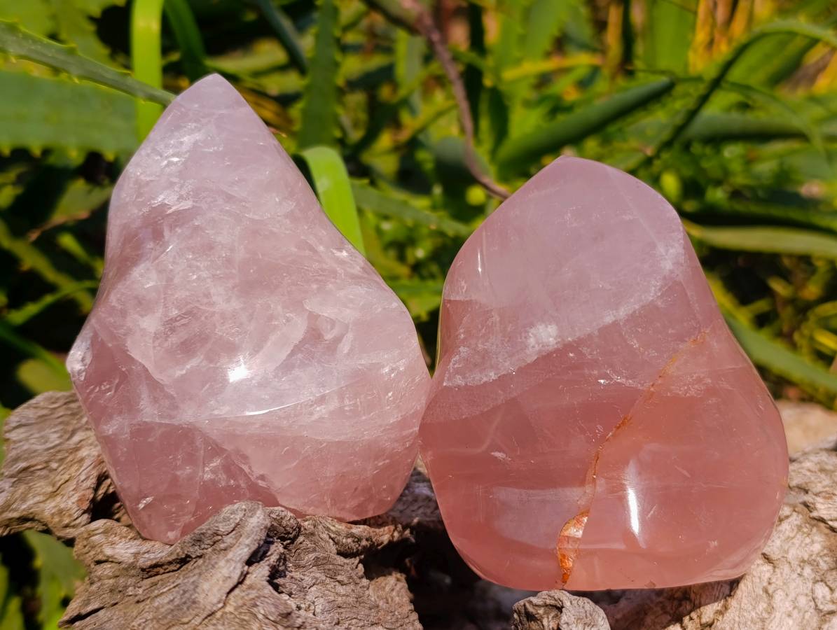 Polished Rose Quartz Flames x 3 From Madagascar - Toprock Gemstones and Minerals 