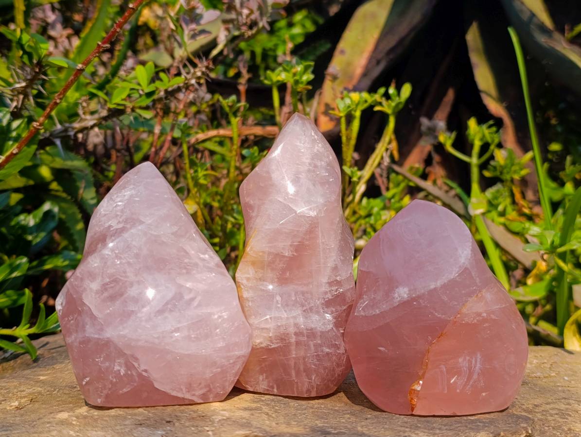Polished Rose Quartz Flames x 3 From Madagascar - Toprock Gemstones and Minerals 