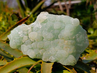 Natural Botryoidal Prehnite Specimens x 2 From Beaufort West, South Africa - Toprock Gemstones and Minerals 
