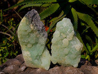 Natural Botryoidal Prehnite Specimens x 2 From Beaufort West, South Africa - Toprock Gemstones and Minerals 