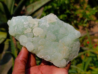 Natural Botryoidal Prehnite Specimens x 2 From Beaufort West, South Africa - Toprock Gemstones and Minerals 
