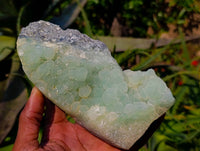 Natural Botryoidal Prehnite Specimens x 2 From Beaufort West, South Africa - Toprock Gemstones and Minerals 