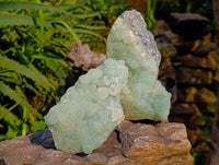 Natural Botryoidal Prehnite Specimens x 2 From Beaufort West, South Africa - Toprock Gemstones and Minerals 